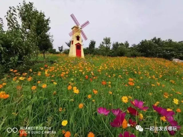 作为阜阳人,你知道阜阳有多少家A级景区吗?