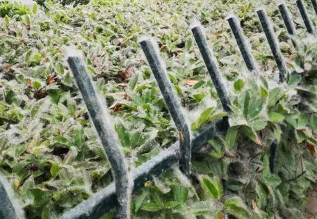 八面火情！今天阜阳消防接警141起！未来几天高发